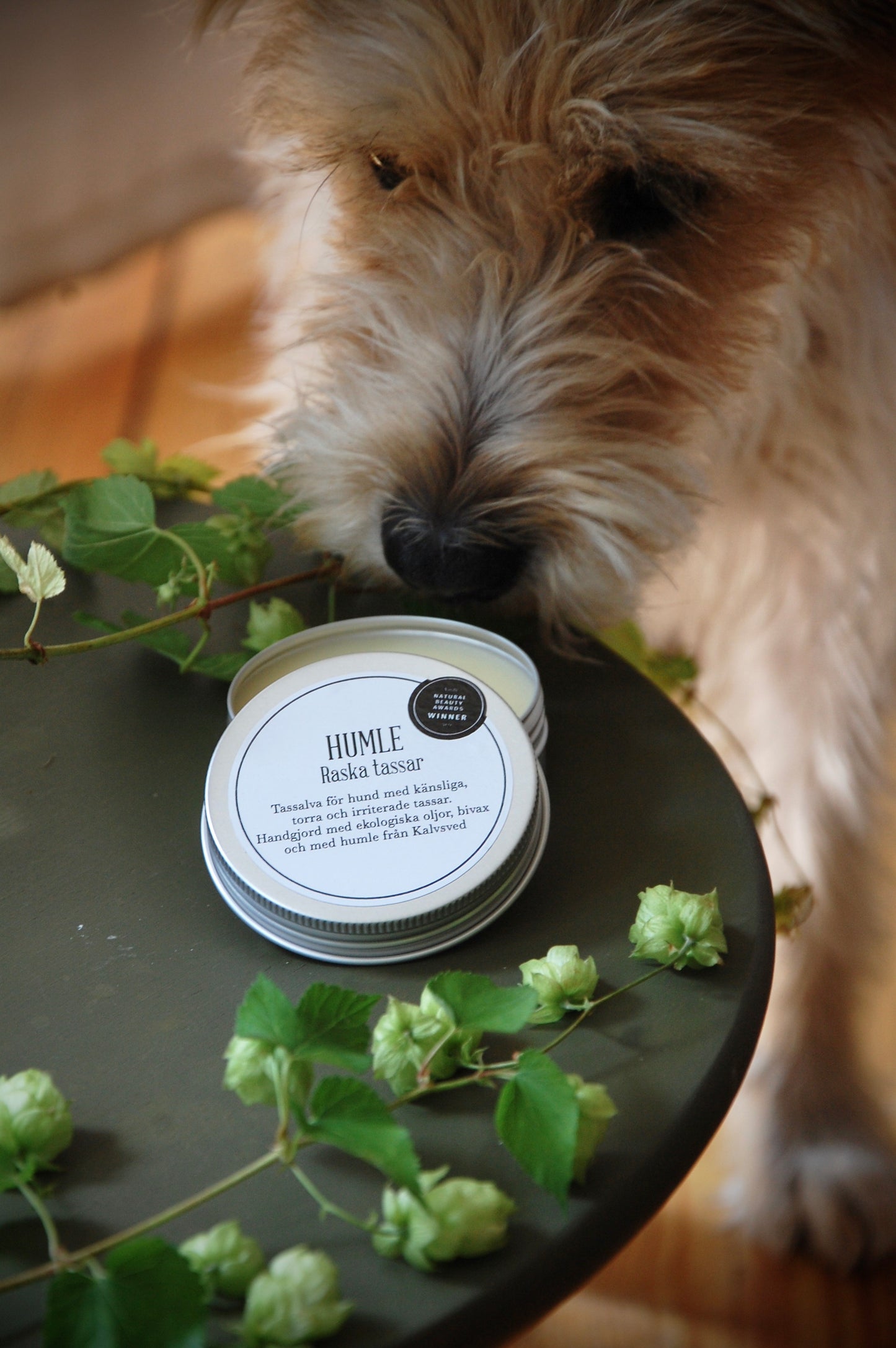 HUMLE Raska Tassar Paw Salve 60 ml - 6 pcs/pck. Price out: SEK 265