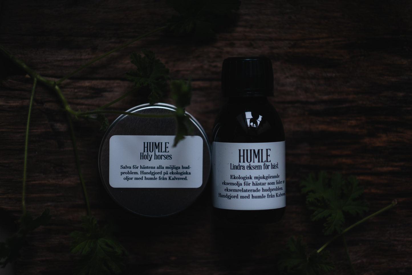HUMLE Holy Horses 60 ml 6 st/fpk