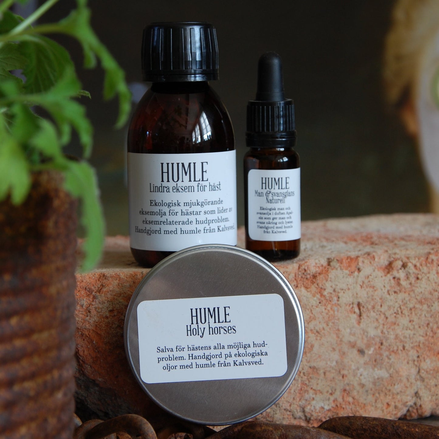 HUMLE Man & Svansglans Mane oil Lavendelblom 100 ml 6 pcs/pck. Price out: SEK 375