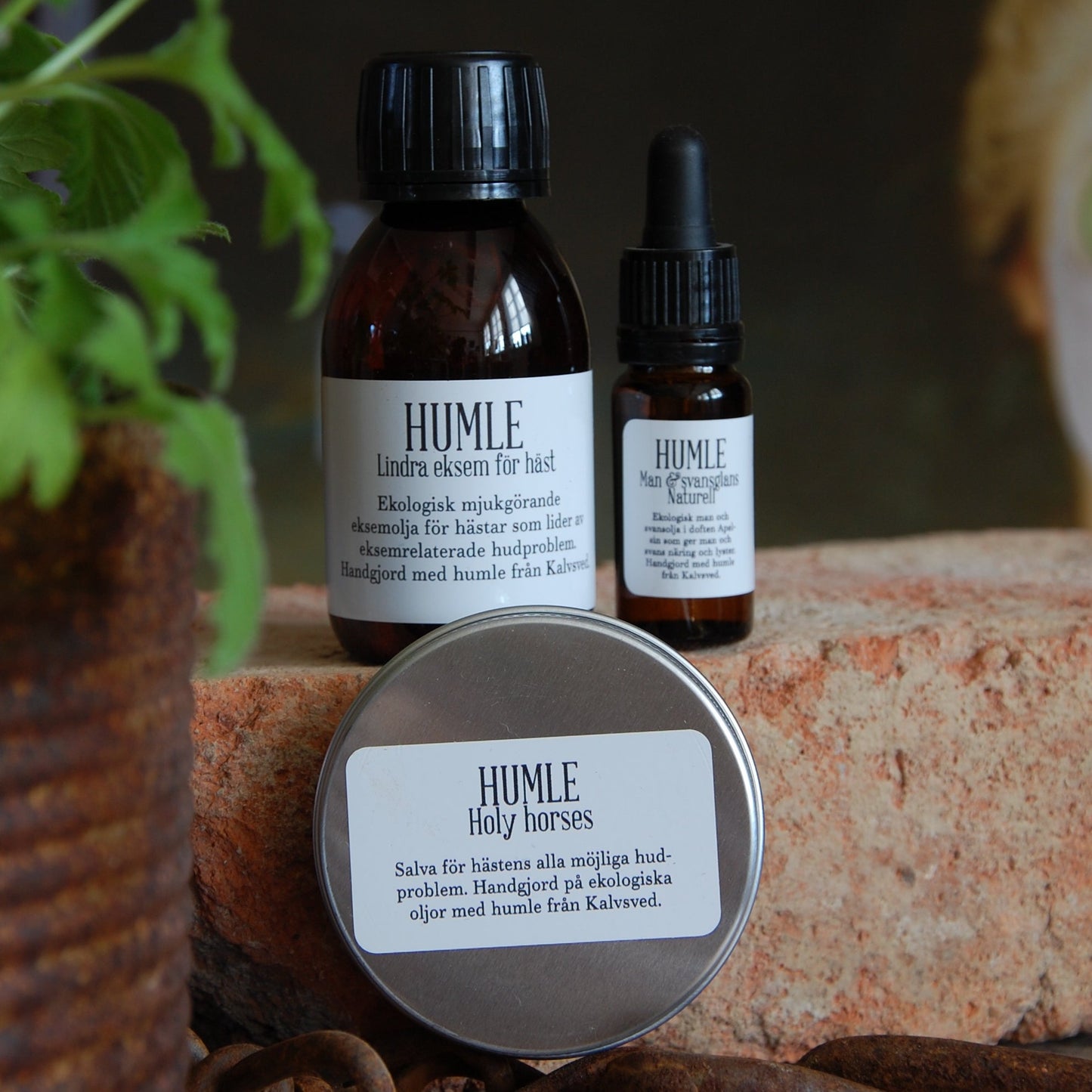 HUMLE Man & Svansglans Mane oil Naturell 100 ml 6 pcs/pck. Price out: SEK 375