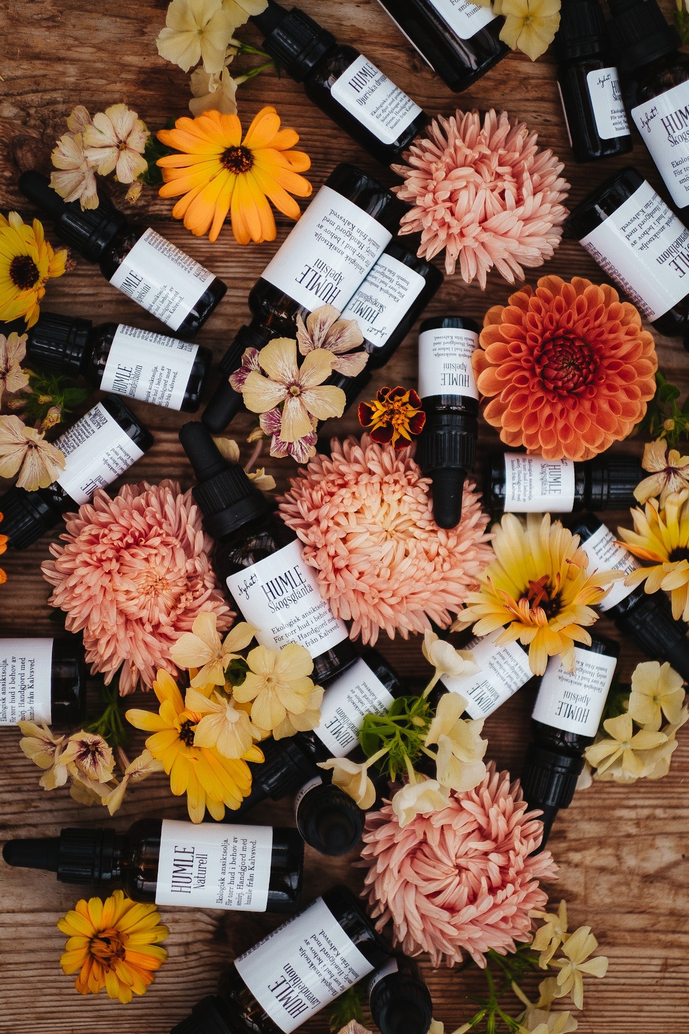 HUMLE Skogsglänta Facial oil 10 ml, 6 pcs/pck. Price out: SEK 275