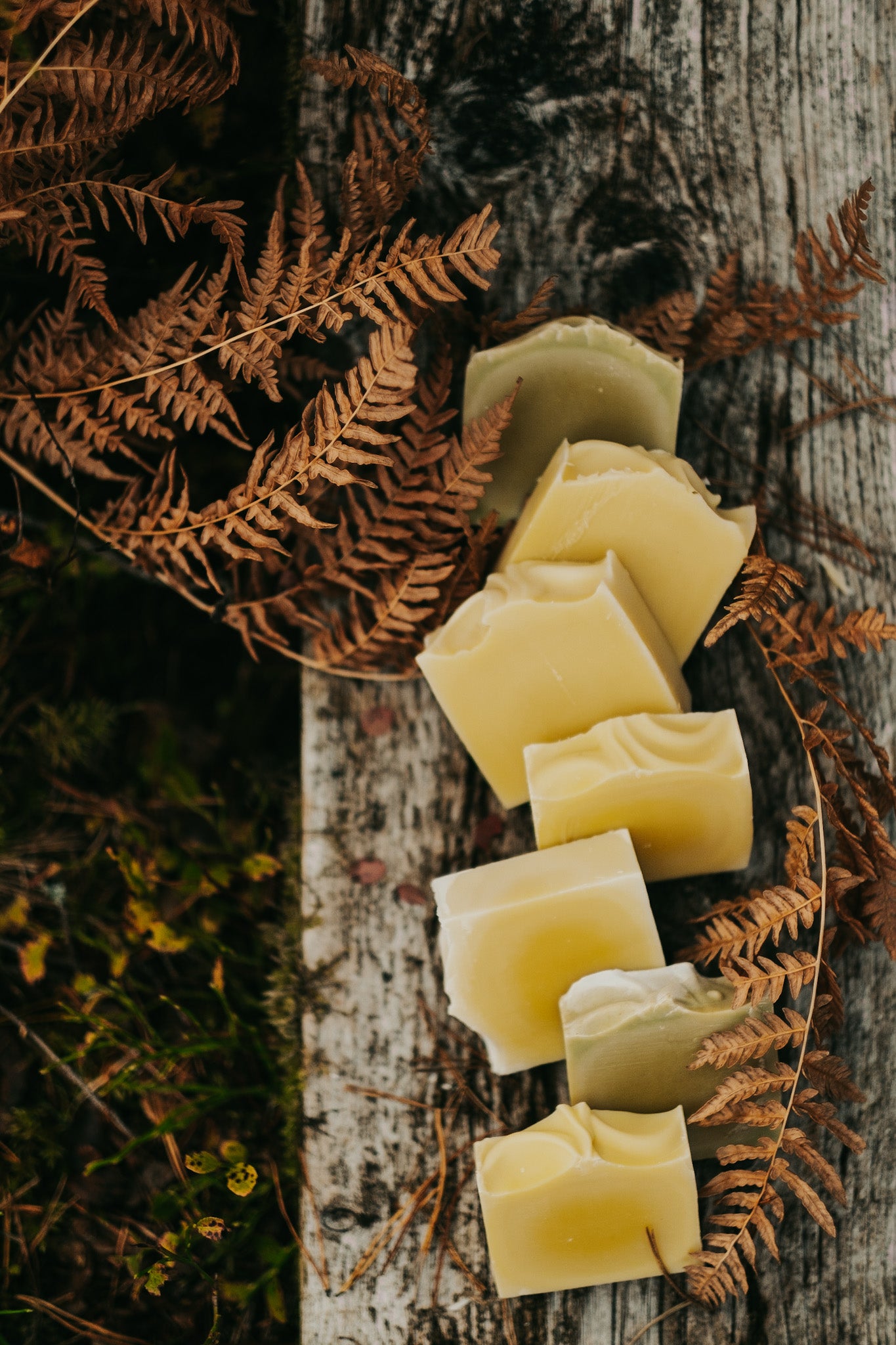 HUMLE Trevlig Tea Tree Soap 1 hg, 6 pcs/pck. Price out: SEK 155