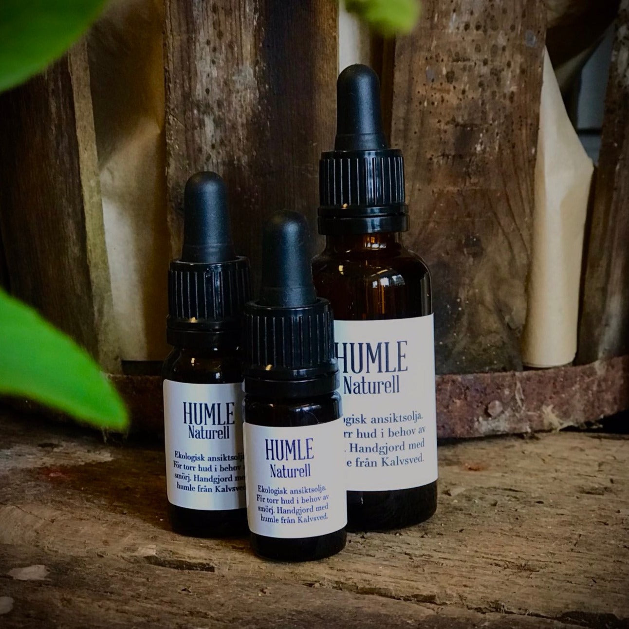 HUMLE Ansiktsolja Naturell 5 ml 10 st/förp