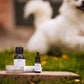 HUMLE Djuriska droppar 10 ml 8 st/förp