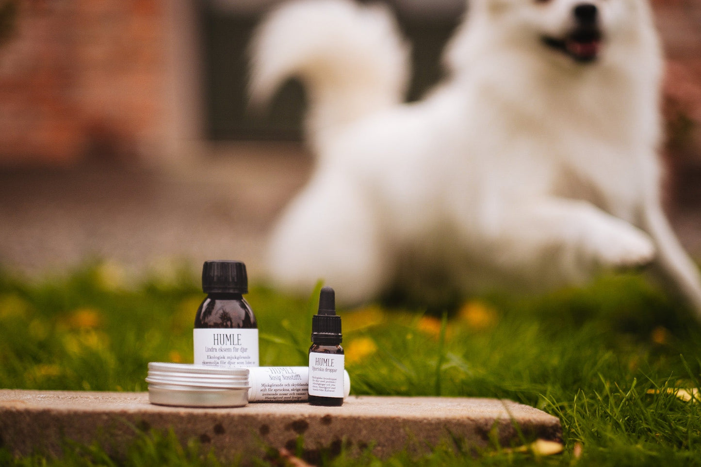HUMLE Djuriska droppar 10 ml 8 st/förp